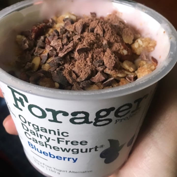 review photo of Forager Project Organic Dairy-free Cashewmilk Yogurt Blueberry shared by @pauleen on 27 Dec 2020 - review