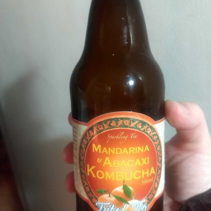 review photo of Tribal Brasil Kombucha shared by @lisamahlke on 21 Jul 2021 - review