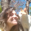 patischelb @patischelb profile image