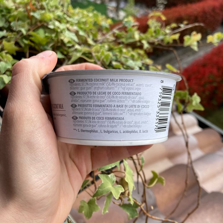 photo of Abbot Kinney’s Coco Start Original Natural shared by @makoto on  12 Apr 2022 - review
