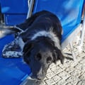 silviasquare @silviasquare profile image