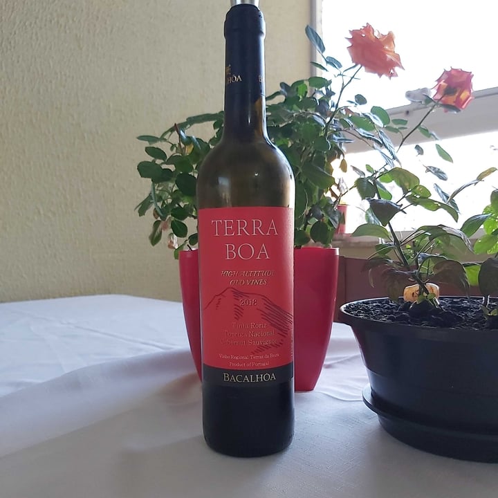 review photo of terra boa vinho tinto shared by @criscmoura on 08 May 2022 - review