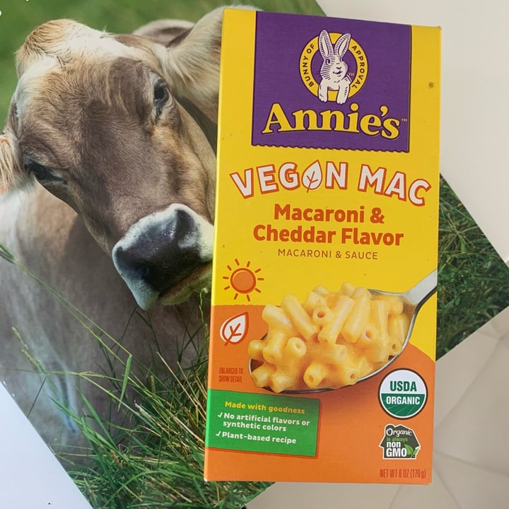 photo of Annie’s Organic Vegan Mac Cheddar Flavor shared by @hereforareason on  05 Oct 2021 - review