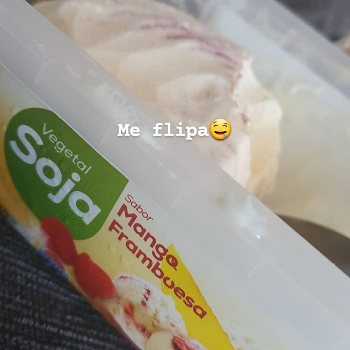 photo of Hacendado Helado de Soja con Mango y Frambuesa shared by @rimidimi18 on  27 Jan 2021 - review