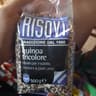 Risovì