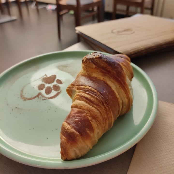 photo of Café Katzentempel Croissant shared by @livinginitaly on  16 Nov 2022 - review