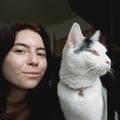 louiseg @louiseg profile image