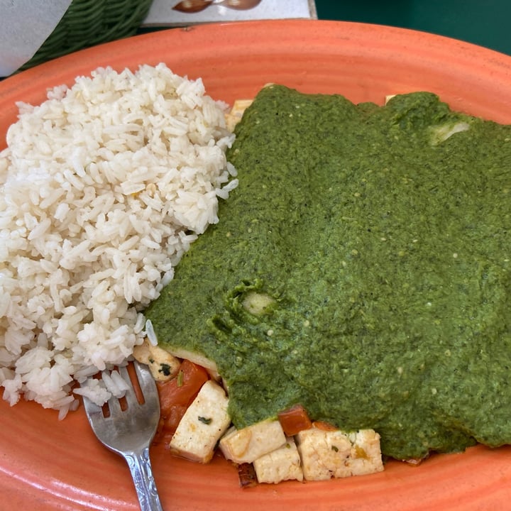 review photo of El Gitano Tofu Enchiladas shared by @madds on 09 Apr 2021 - review