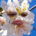 luliacs @luliacs profile image