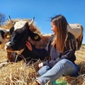 @claudia3188 profile image