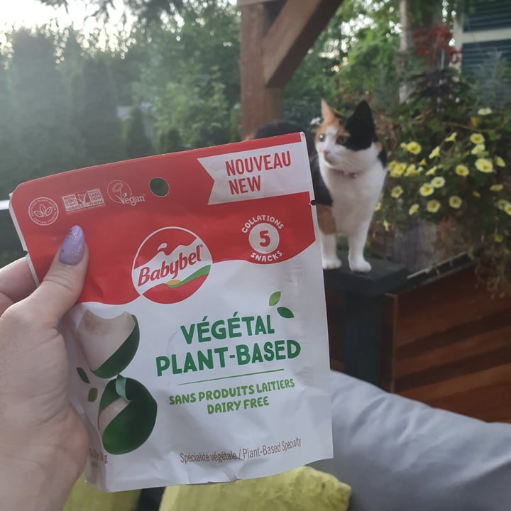 photo of Babybel Plant-Based Plant-Based Cheese Alternative shared by @anistavrou on  12 Oct 2022 - review