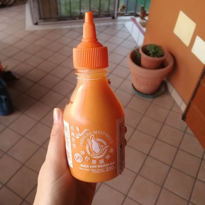 photo of Nhan con ngong bay Sriracha mayo sauce shared by @giuliabo on  29 Jul 2022 - review