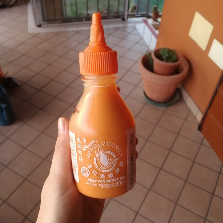 review photo of Nhan con ngong bay Sriracha mayo sauce shared by @giuliabo on 29 Jul 2022 - review