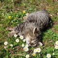 elis93 @elis93 profile image