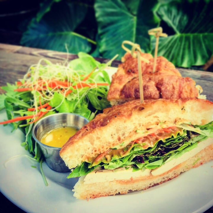 photo of Russell’s by Eat Healthy Kauai Grilled Tofu Sandwich w/ Peanut sauce shared by @anandabhavani on  10 Aug 2018 - review