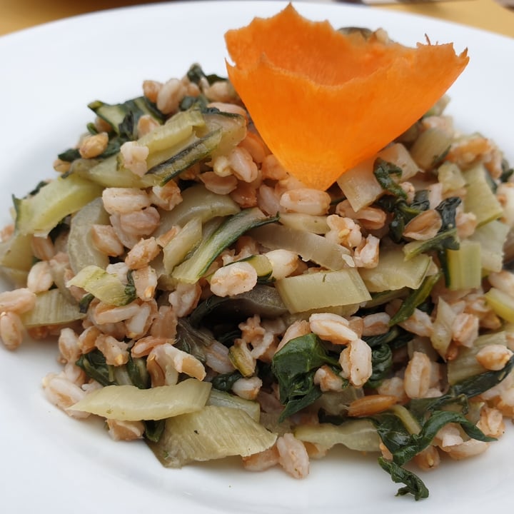 photo of Sali&Pistacchi Farro Con Coste E Crema Di Arachidi shared by @valdal on  01 Oct 2020 - review