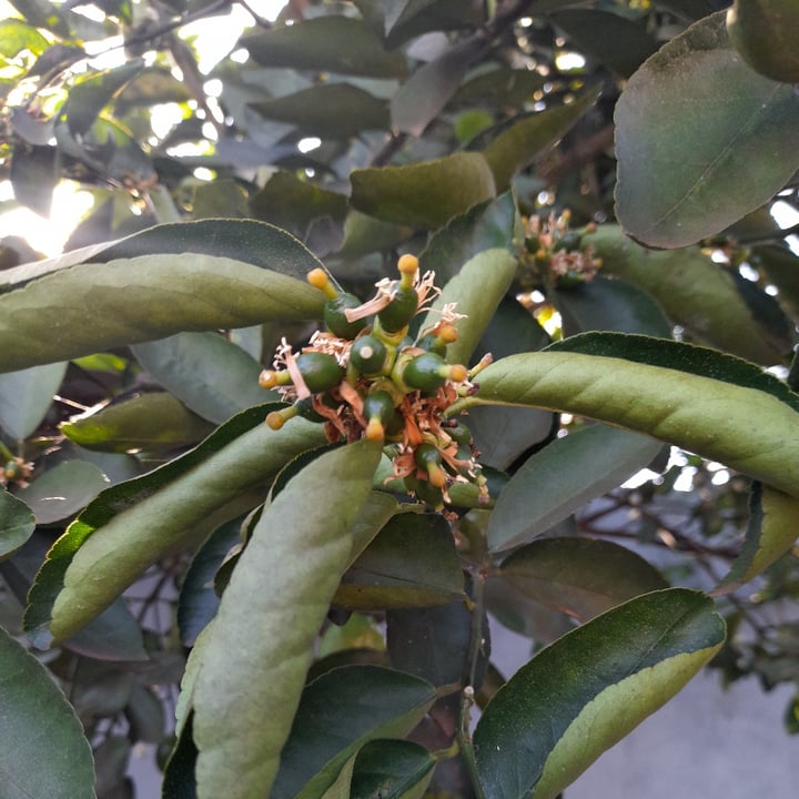 review photo shared by @danireich on 28 Jul 2022 - post