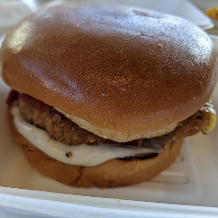 photo of Project Pollo Chick'n Parm Sandwich shared by @caseyveganforlife on  18 Jan 2022 - review