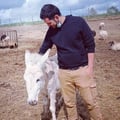alessandroquarta @alessandroquarta profile image