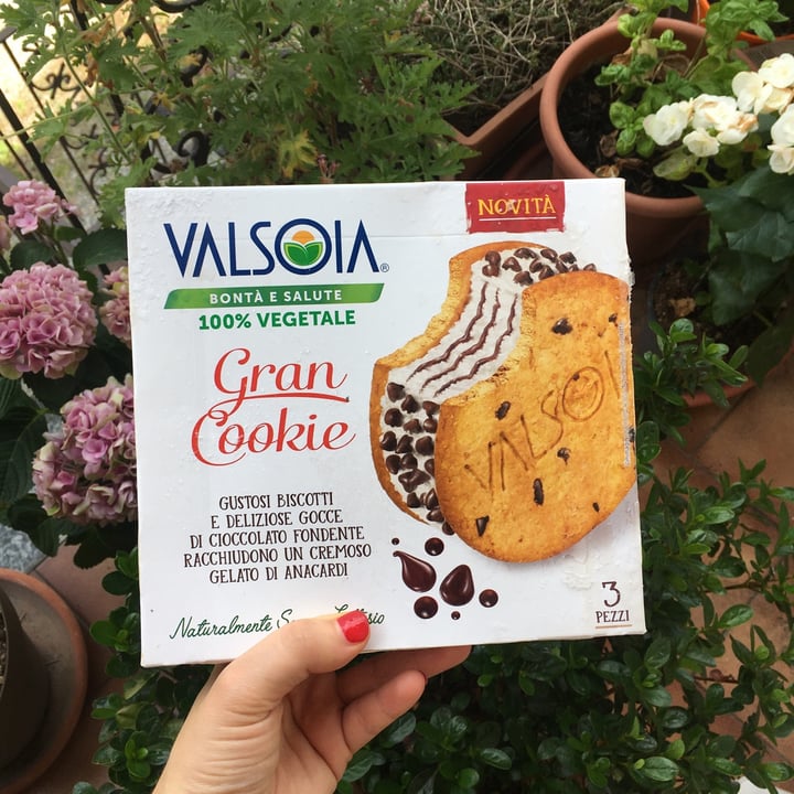 photo of Valsoia Gran cookie shared by @monicapra on  27 Jun 2022 - review