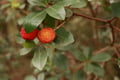 estremauravegana @estremauravegana profile image