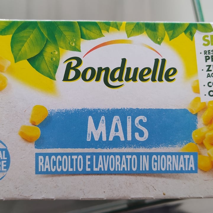 photo of Bonduelle Mais shared by @alexxxxxx on  30 May 2021 - review