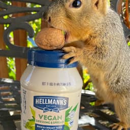 Hellmann’s