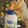 Hellmann’s
