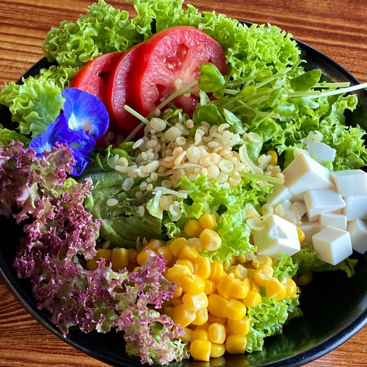 review photo of nomVnom Tai Seng Organic Rainbow Salad shared by @yuan on 23 Jan 2021 - review