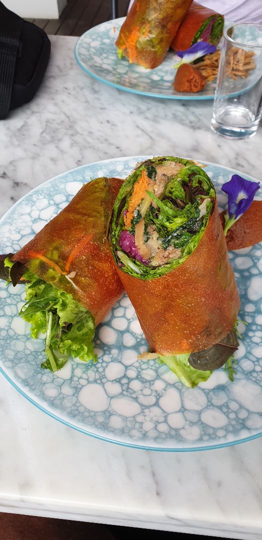 photo of TERRA Jackfruit BBQ Wrap shared by @brownmanta on  01 Feb 2020 - review