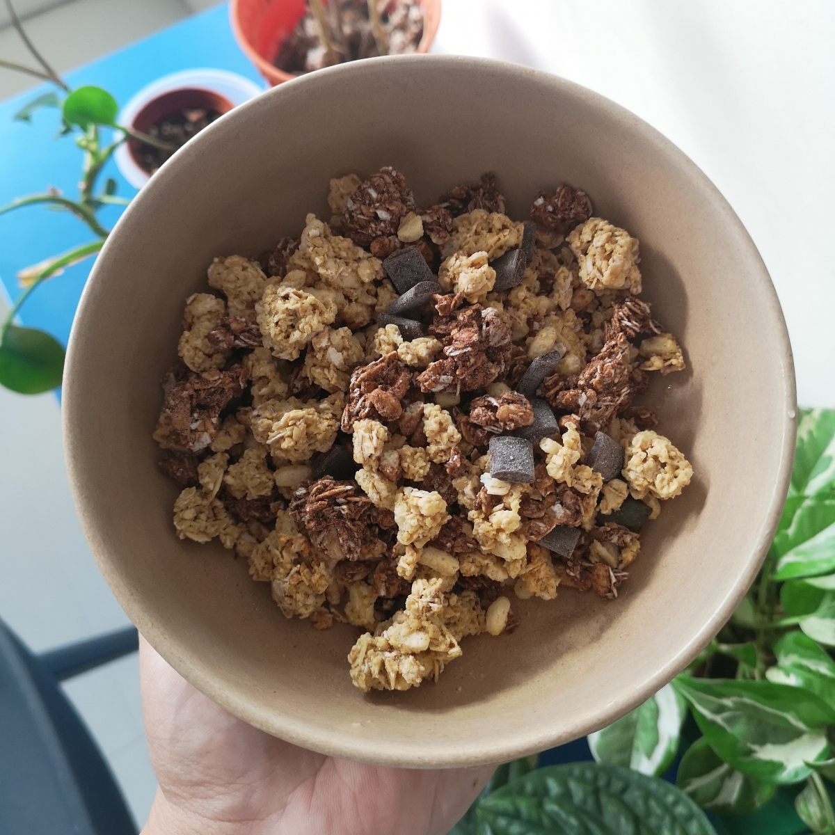 Fuel 10k Chunky Chocolate Protein Boosted Granola Reviews abillion