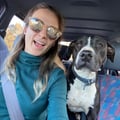 ariellevegan @ariellevegan profile image