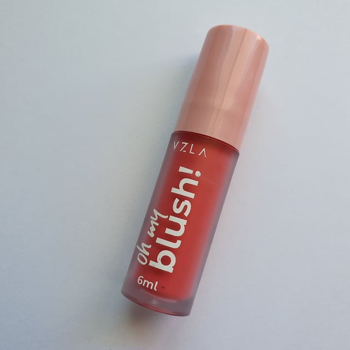 photo of Vizzela Cosméticos Oh My Blush shared by @abvalentim on  10 Jul 2021 - review