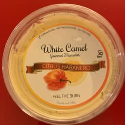 White Camel