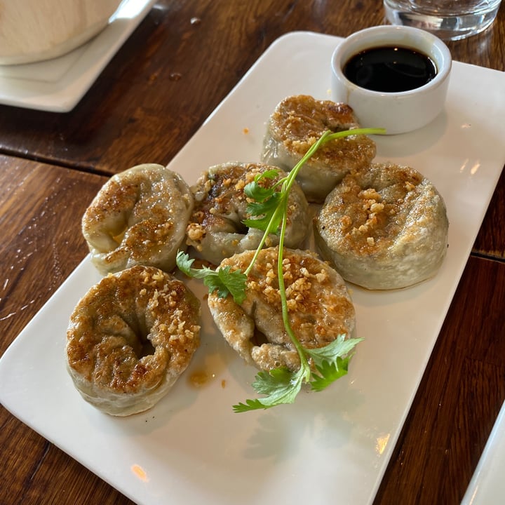 photo of H.O.P.E. Healthy Organic Positive Eating Grilled dumplings shared by @stephaniegerard on  07 Sep 2021 - review