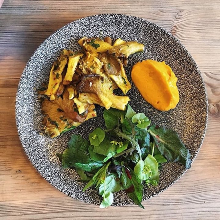 review photo of Plant Club - Gluten free, Vegan & Vegetarian Italian Restaurant & Pizzeria Oyster Mushroom with Sichuan Squash Purée shared by @beatlebel on 18 Mar 2020 - review