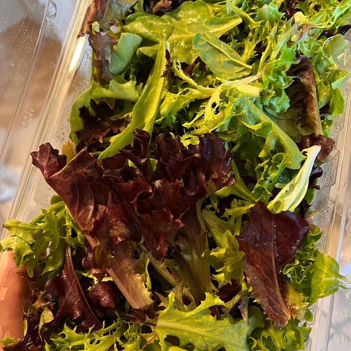 review photo of Attitude Spring mix shared by @rq-munaro on 01 Jun 2022 - review