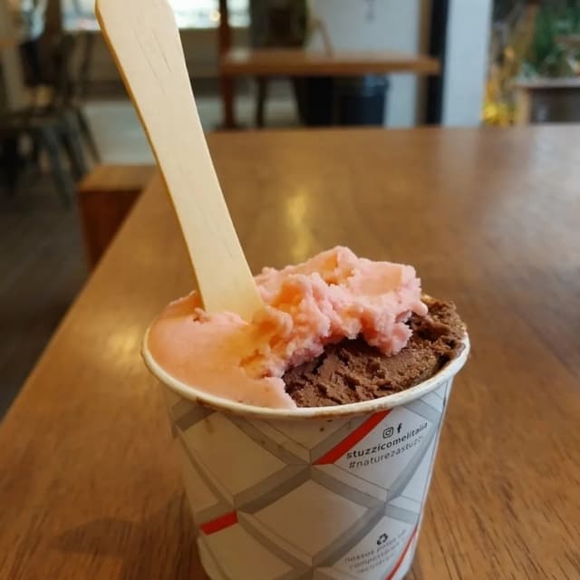 Foto del piatto “gelato vegano”