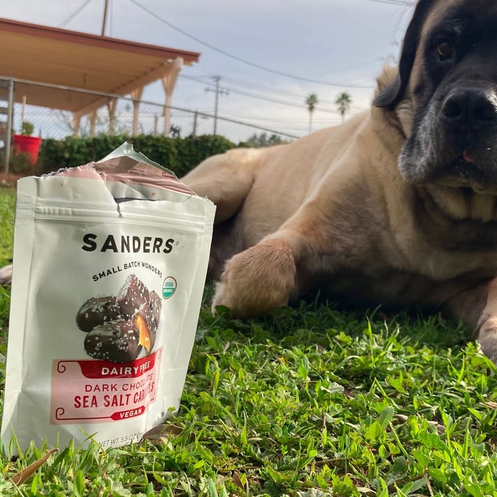photo of Sanders Dairy Free/Vegan Dark Chocolate Sea Salt Caramels shared by @mariejane56 on  31 Jan 2022 - review