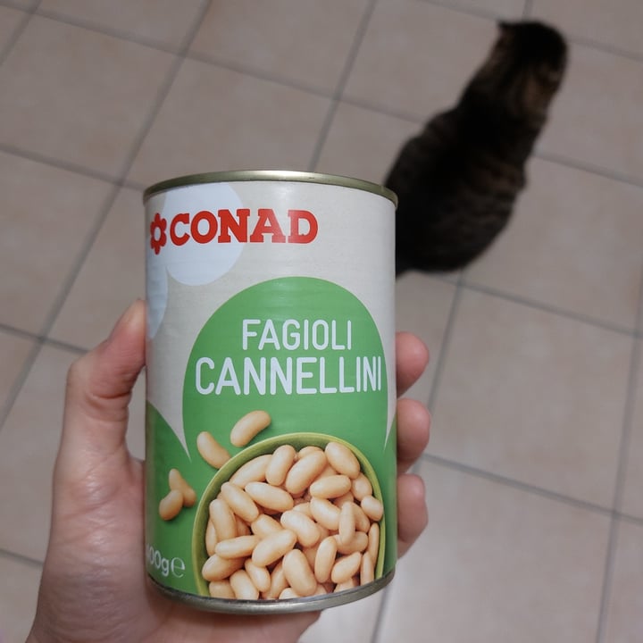 photo of Conad Cannellini lattina shared by @mikiko on  02 Dec 2021 - review