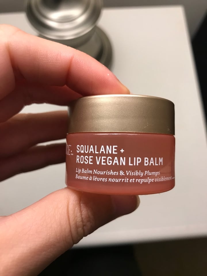 photo of Biossance Squalane + Rose Vegan Lip Balm shared by @curvycarbivore on  11 Dec 2019 - review