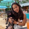 tinachiu @tinachiu profile image