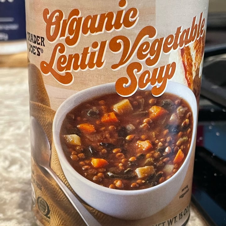 photo of Trader Joe's Organic Lentil Vegetable Soup shared by @ekelcem on  22 Jan 2022 - review