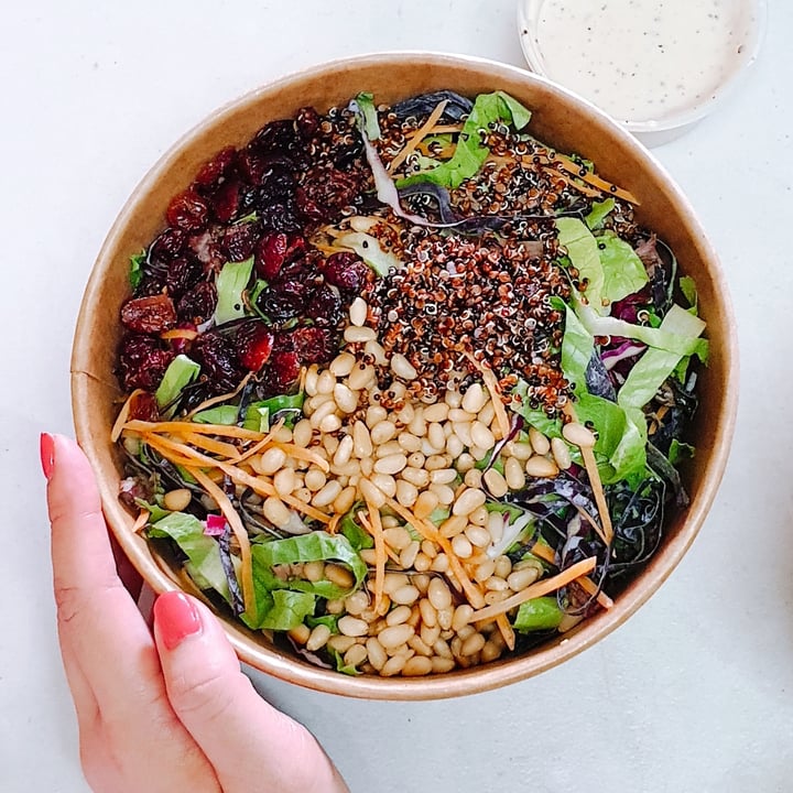 photo of Flavours by Saute Kale Quinoa Salad shared by @veggiexplorer on  01 Jul 2020 - review