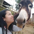 thaissaito @thaissaito profile image