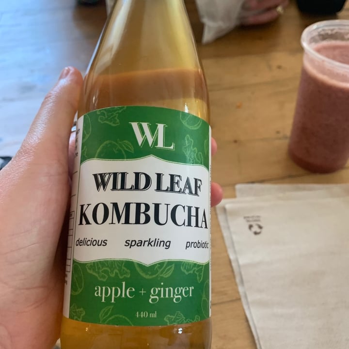photo of Wild Leaf Brew Apple and Ginger kombucha shared by @bookelly8 on  05 Dec 2020 - review