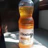 Elogiata