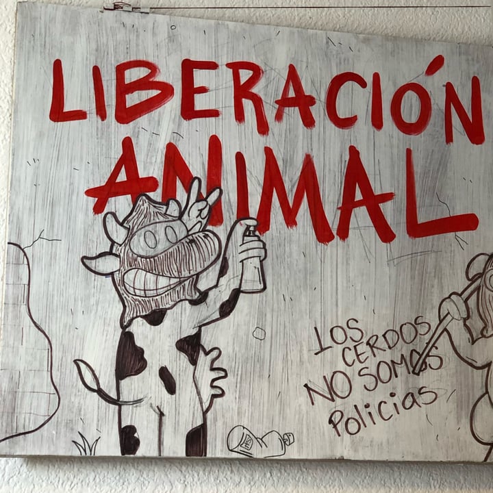 review photo of Poderosa Restaurante Vegano helado de coco shared by @magnoliagari on 15 Jan 2022 - review