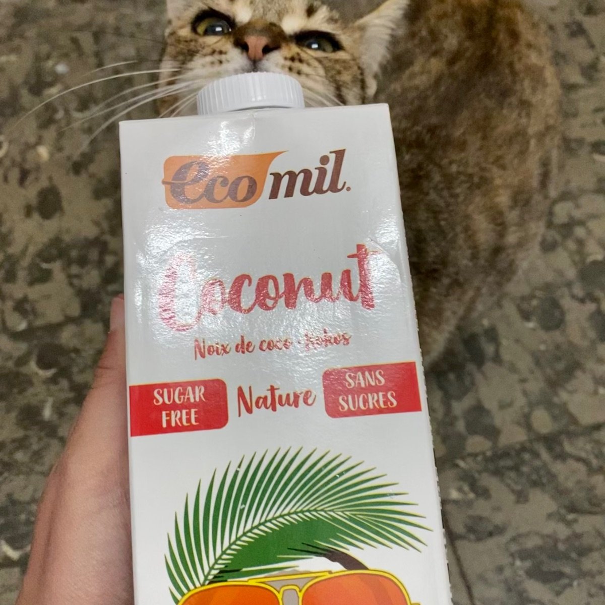Coconut Milk Reviews abillion