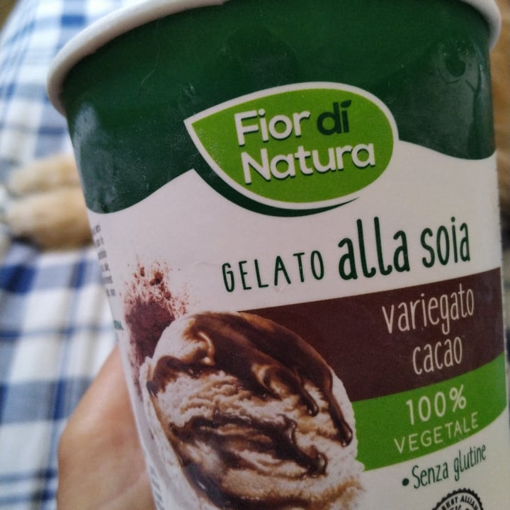 photo of Fior di Natura Gelato Alla Soia Variegato Cacao shared by @sunriseveg88 on  27 Mar 2022 - review